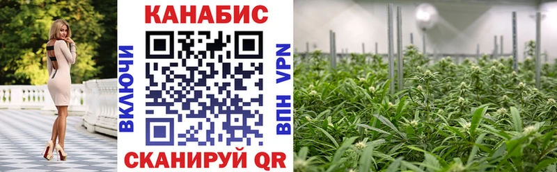 Купить закладку Кирово-Чепецк Псилоцибиновые грибы АМФ Конопля ГАШ КОКАИН