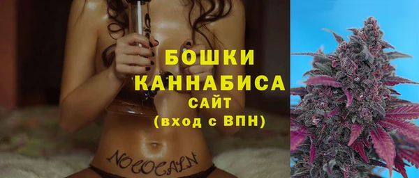 стаф Аркадак