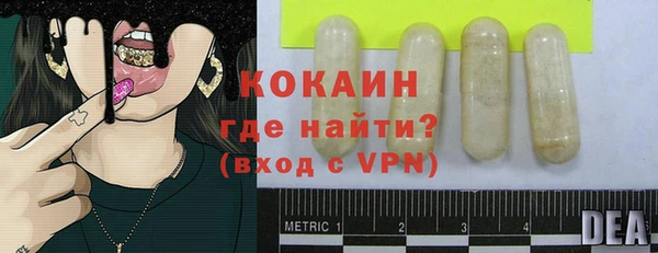 стаф Аркадак