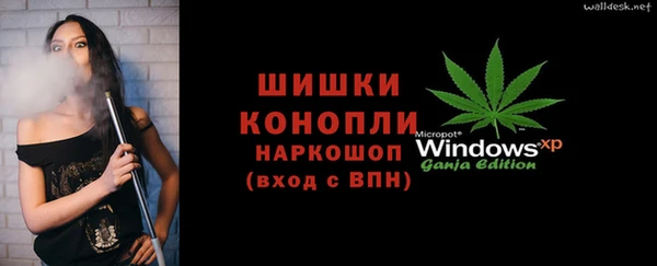 стаф Аркадак