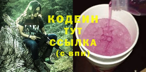 стаф Аркадак