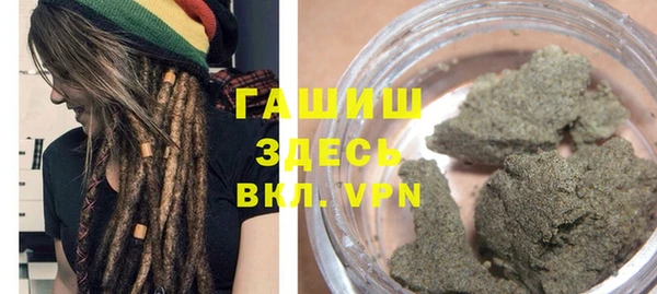 стаф Аркадак