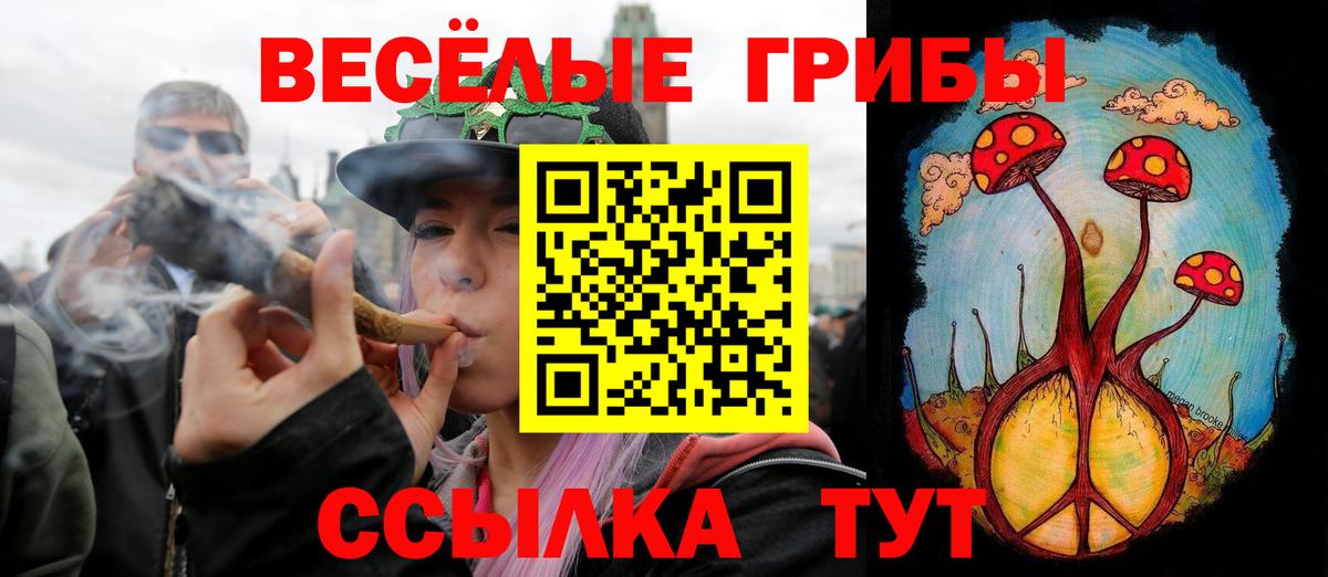 Псилоцибиновые грибы ЛСД  Галлюциногенные грибы MAGIC MUSHROOMS  Кирово-Чепецк  Вход с VPN 