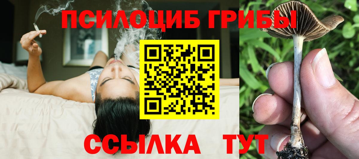 Галлюциногенные грибы GOLDEN TEACHER Кирово-Чепецк